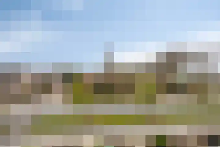 Peellaan 163 Oss thumbnail 30