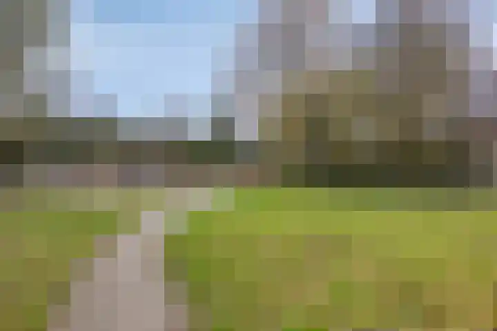 Peellaan 163 Oss thumbnail 31