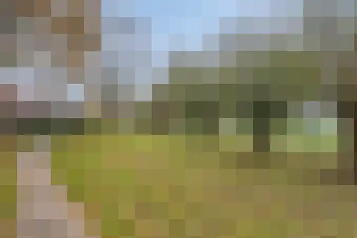 Peellaan 163 Oss thumbnail 32