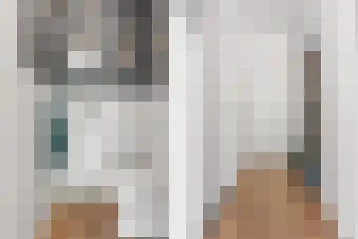 Peellaan 169 Oss thumbnail 13