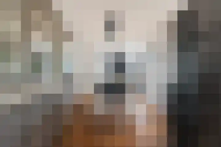 Peellaan 169 Oss thumbnail 15