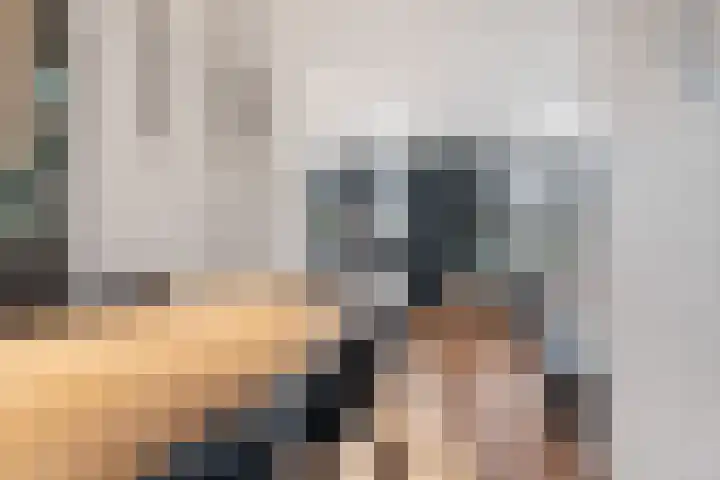 Peellaan 169 Oss thumbnail 17