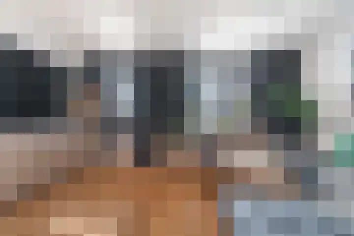 Peellaan 169 Oss thumbnail 19