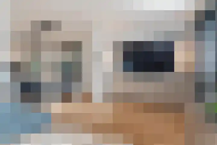 Peellaan 169 Oss thumbnail 20