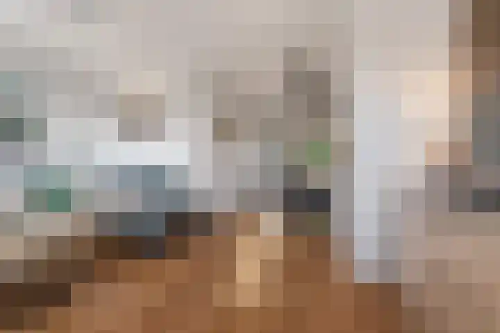 Peellaan 169 Oss thumbnail 21