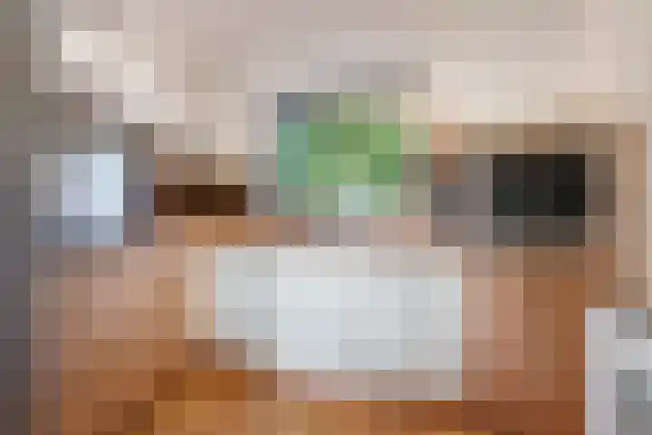 Peellaan 169 Oss thumbnail 25