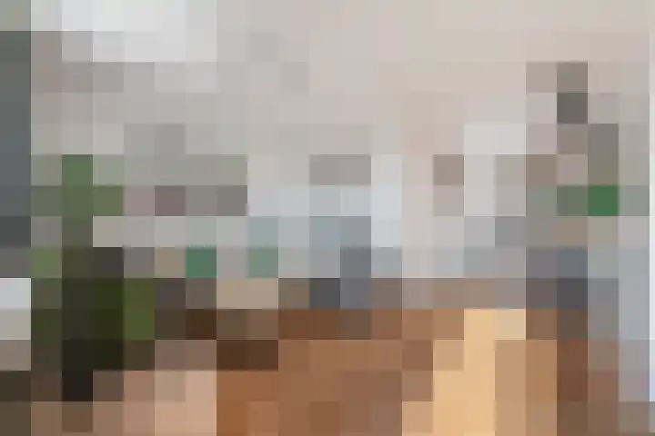 Peellaan 169 Oss thumbnail 26