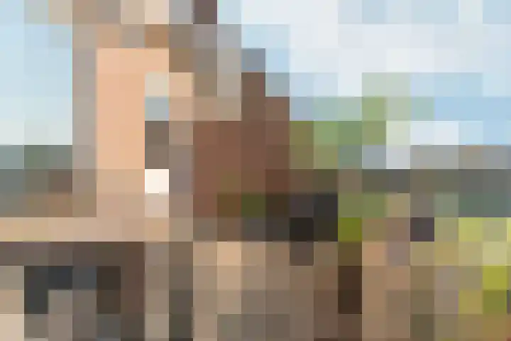Peellaan 169 Oss thumbnail 27