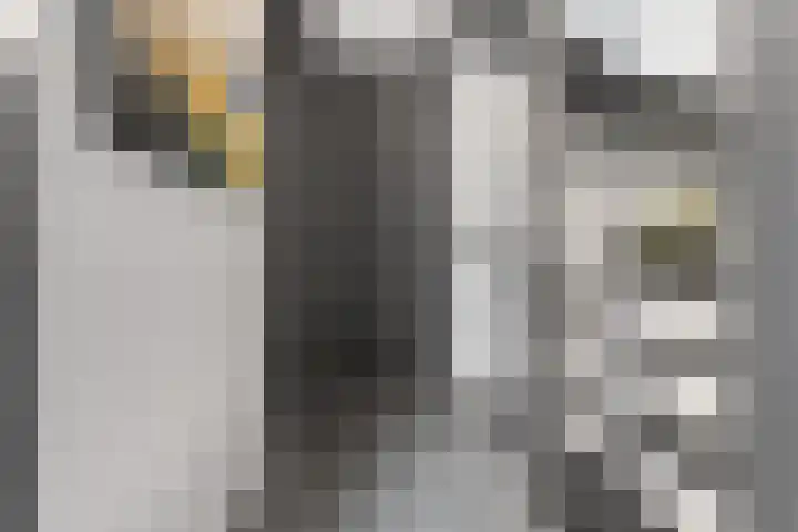 Peellaan 169 Oss thumbnail 29