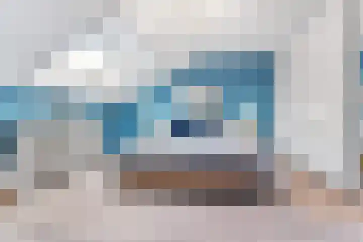 Peellaan 169 Oss thumbnail 30