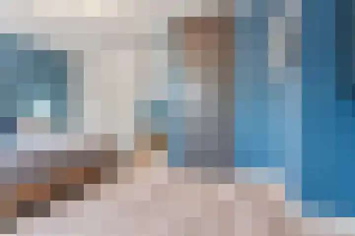 Peellaan 169 Oss thumbnail 32
