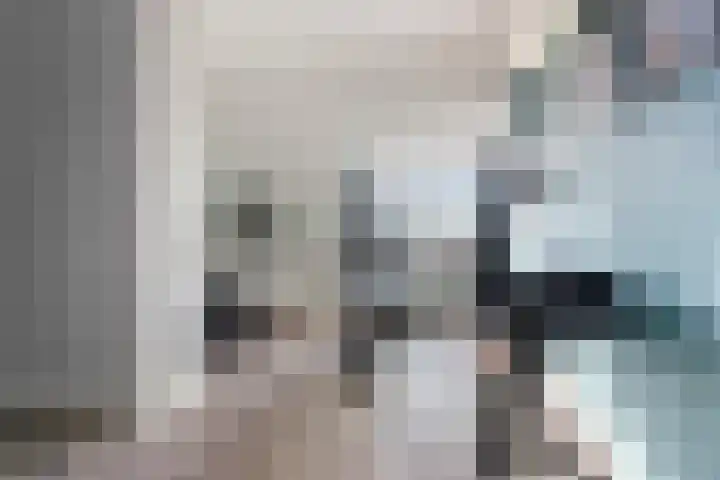 Peellaan 169 Oss thumbnail 35