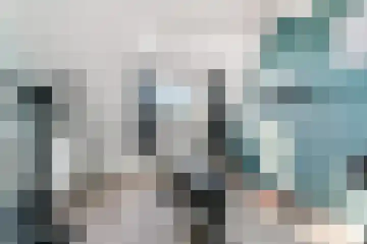 Peellaan 169 Oss thumbnail 36