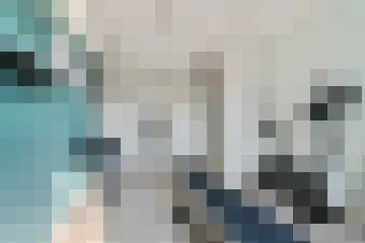 Peellaan 169 Oss thumbnail 37