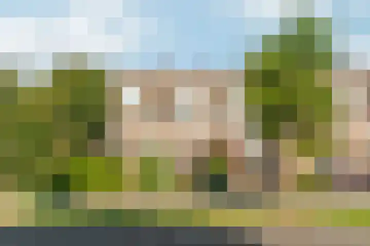 Peellaan 169 Oss thumbnail 4