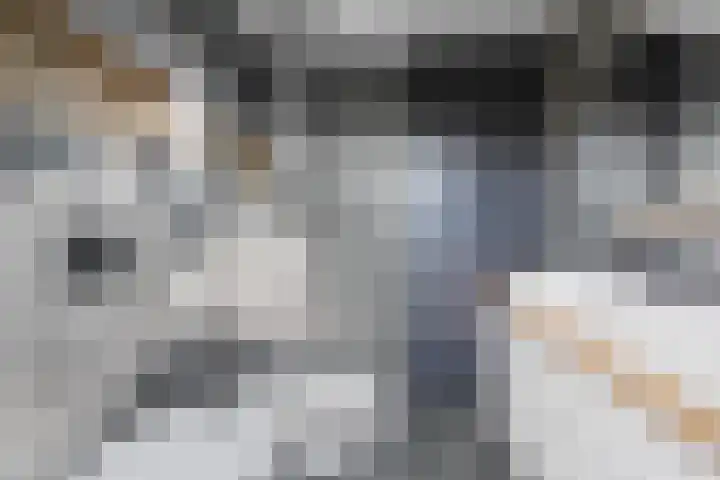 Peellaan 169 Oss thumbnail 40