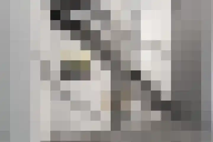 Peellaan 169 Oss thumbnail 41