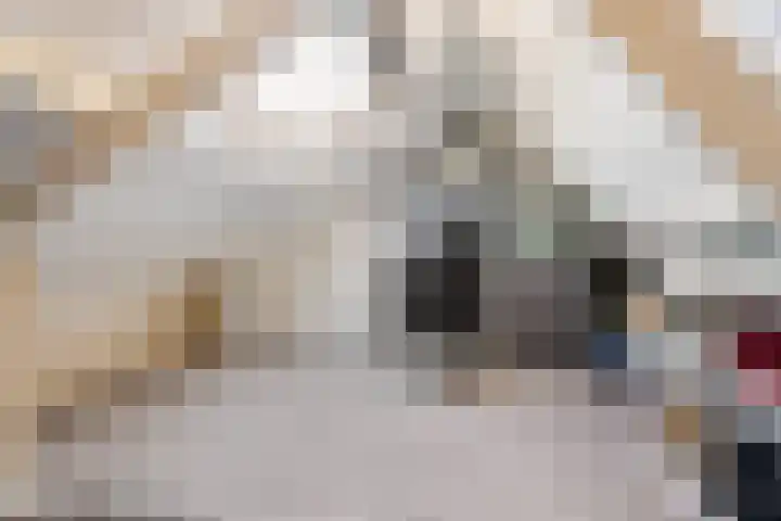 Peellaan 169 Oss thumbnail 42