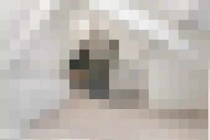 Peellaan 169 Oss thumbnail 43