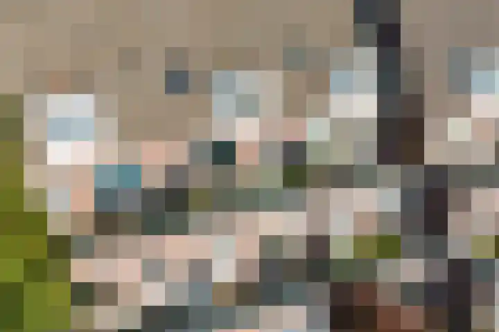 Peellaan 169 Oss thumbnail 45