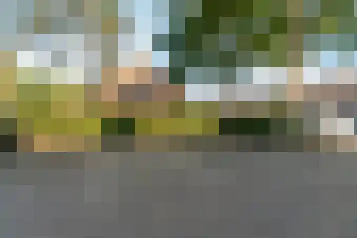 Peellaan 169 Oss thumbnail 47
