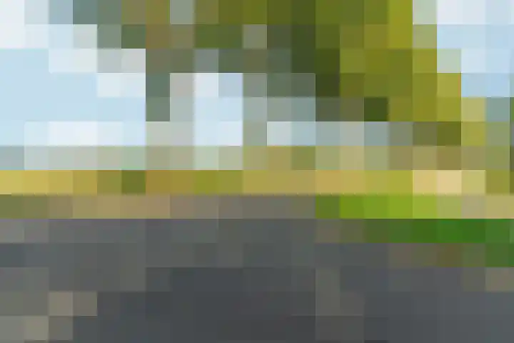 Peellaan 169 Oss thumbnail 48