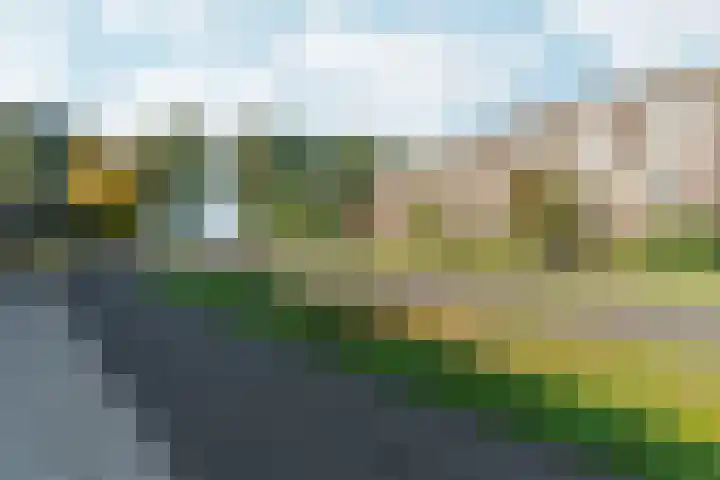 Peellaan 169 Oss thumbnail 5