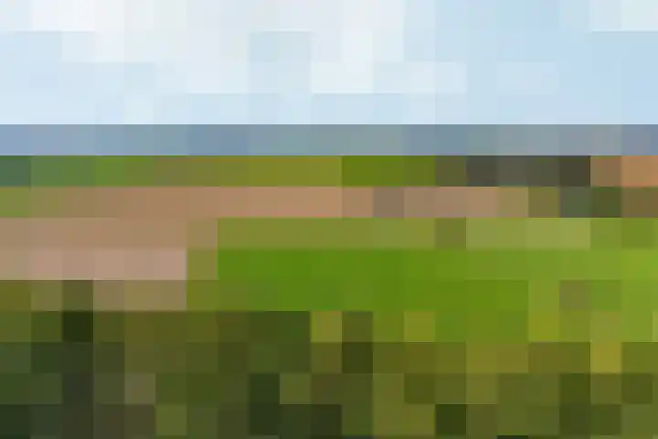 Peellaan 169 Oss thumbnail 50