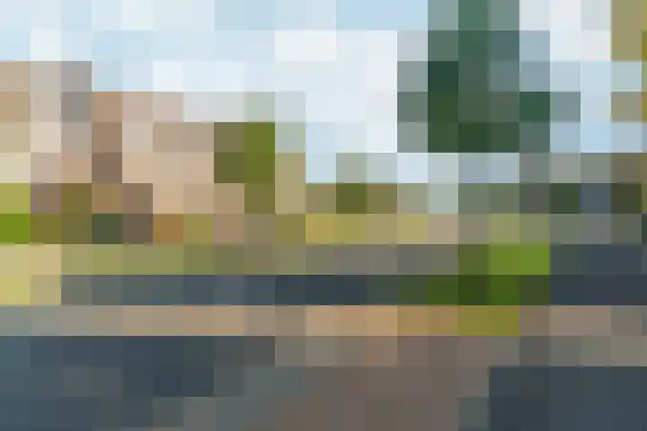 Peellaan 169 Oss thumbnail 6