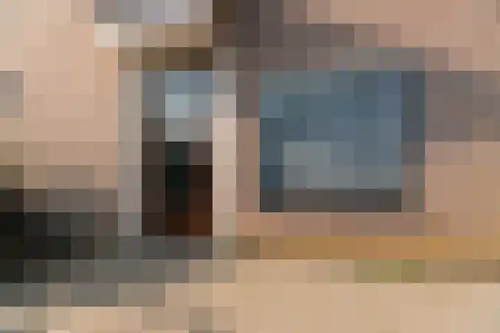 Peellaan 169 Oss thumbnail 7