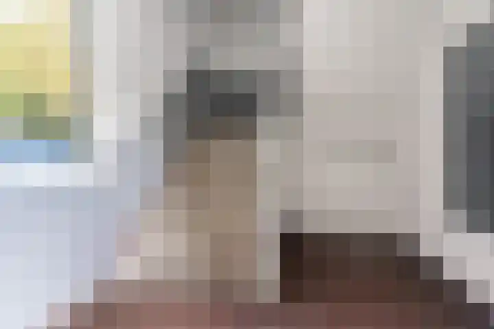 Peellaan 169 Oss thumbnail 8