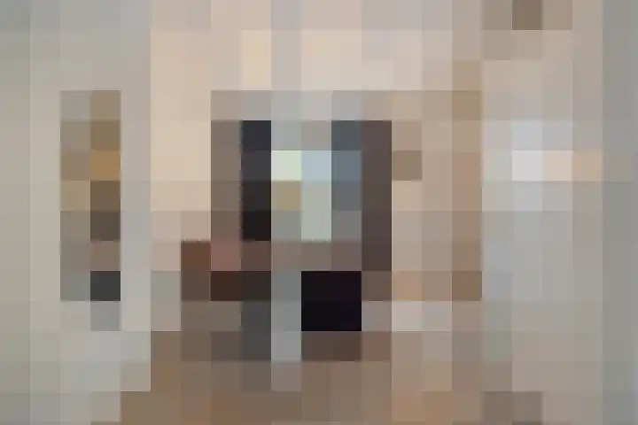 Peellaan 80 Oss thumbnail 11