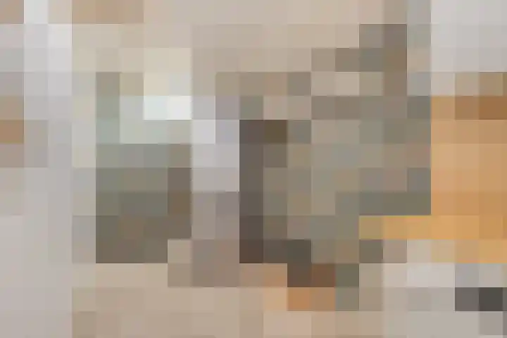 Peellaan 80 Oss thumbnail 18