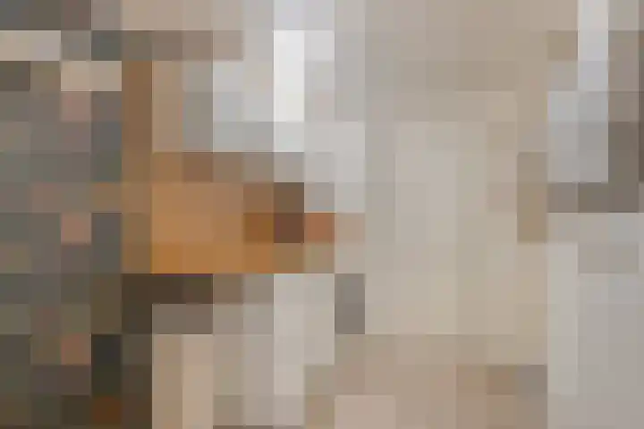 Peellaan 80 Oss thumbnail 19