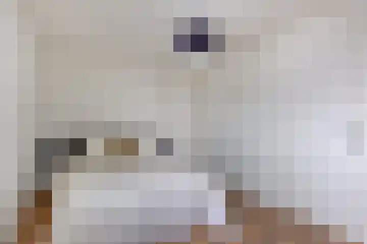 Peellaan 80 Oss thumbnail 27
