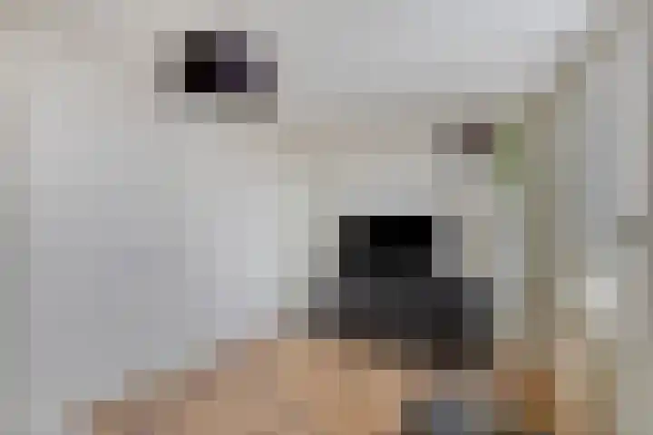 Peellaan 80 Oss thumbnail 29