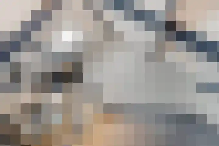 Peellaan 80 Oss thumbnail 31