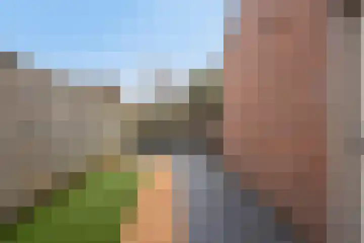 Peellaan 80 Oss thumbnail 33