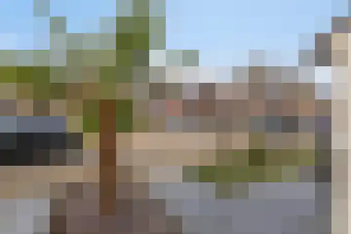 Peellaan 80 Oss thumbnail 36