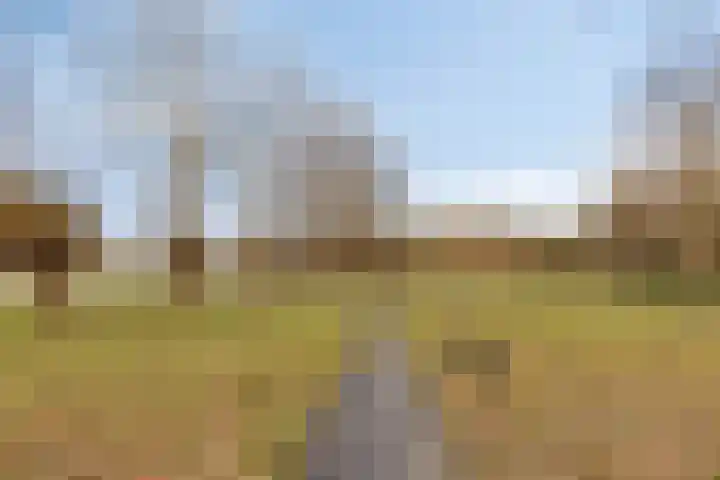 Peellaan 80 Oss thumbnail 37