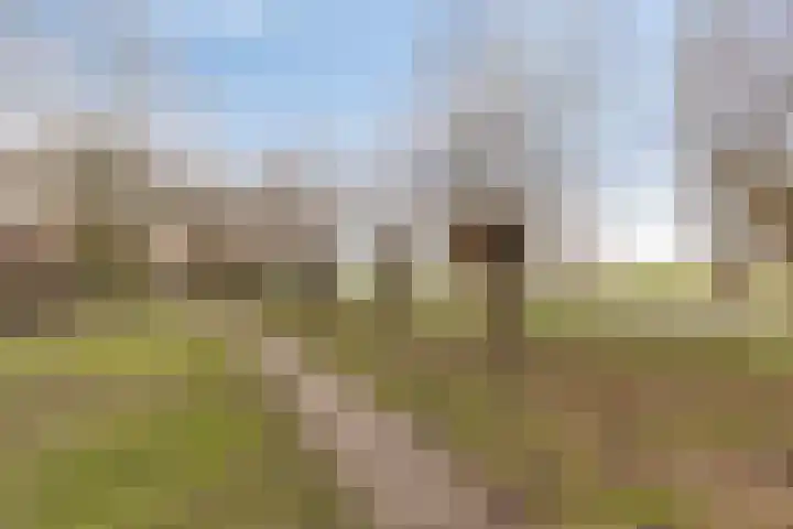 Peellaan 80 Oss thumbnail 38