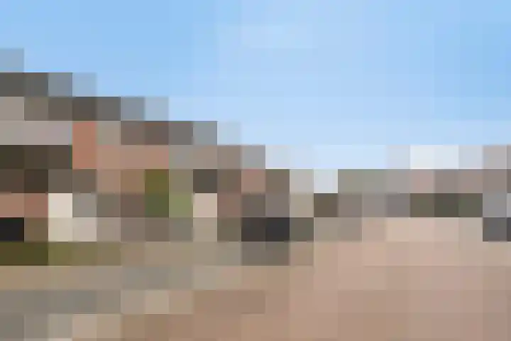 Peellaan 80 Oss thumbnail 39
