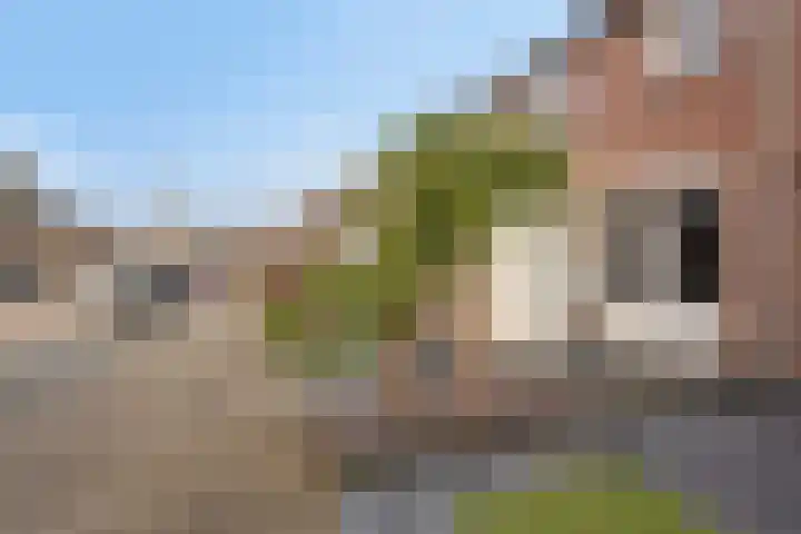 Peellaan 80 Oss thumbnail 4