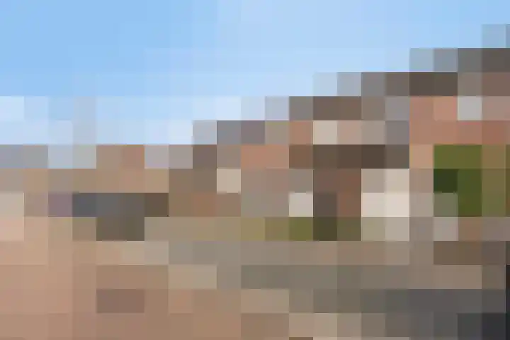 Peellaan 80 Oss thumbnail 40