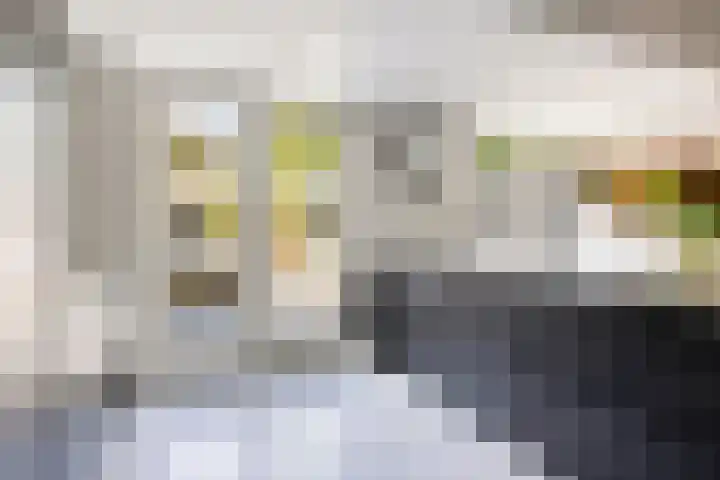 Peellaan 85 Oss thumbnail 10