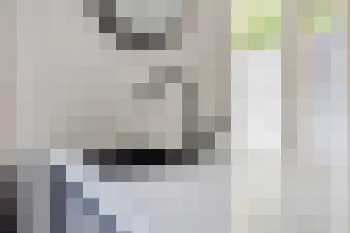 Peellaan 85 Oss thumbnail 12