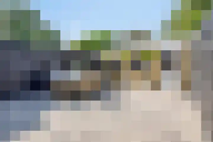 Peellaan 85 Oss thumbnail 14