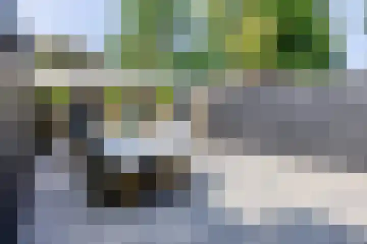 Peellaan 85 Oss thumbnail 15