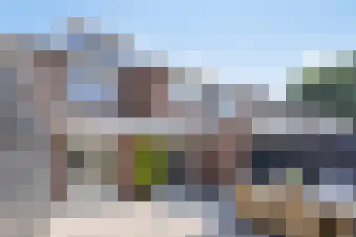 Peellaan 85 Oss thumbnail 16
