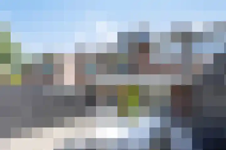 Peellaan 85 Oss thumbnail 17